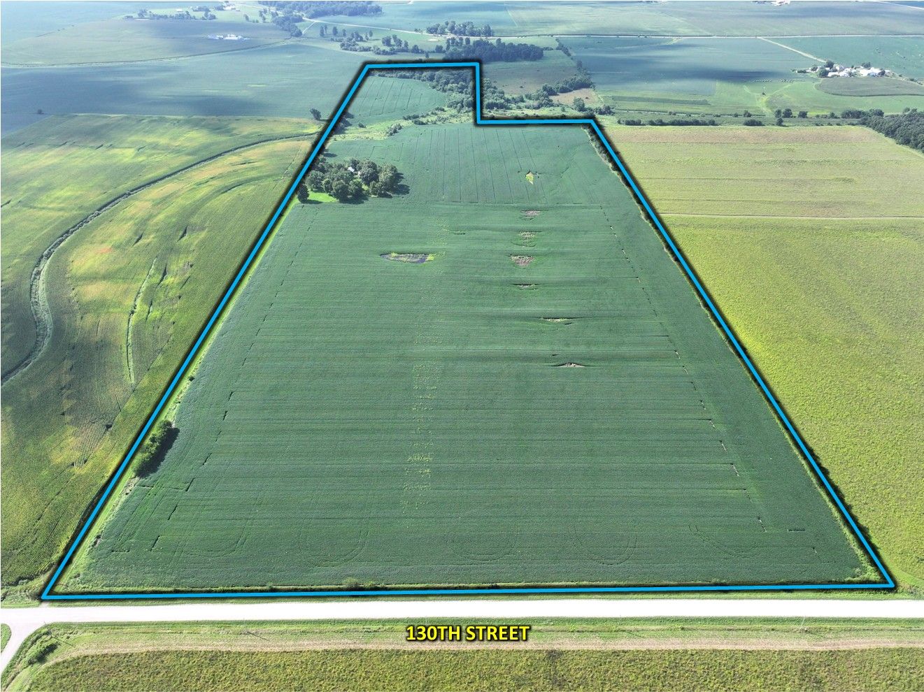 Listing Photo: Lee County, Iowa Farmland Auction 1